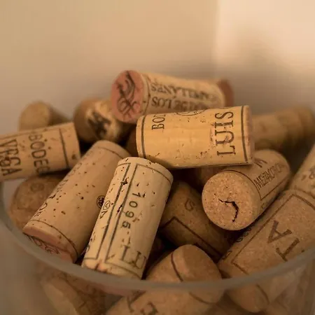 Céntrico Y Actualizado Con Estilo Valenza